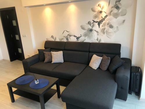 Apartament Modern T�rgovi?te �n Regim Hotelier