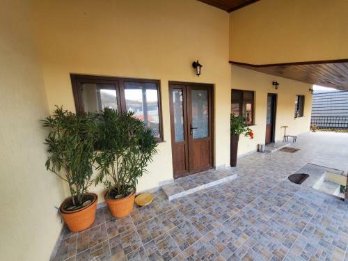 Hostal Pensiunea Mihaita