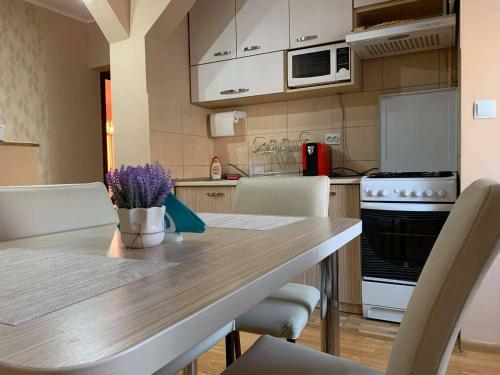 Vlad's Apartment