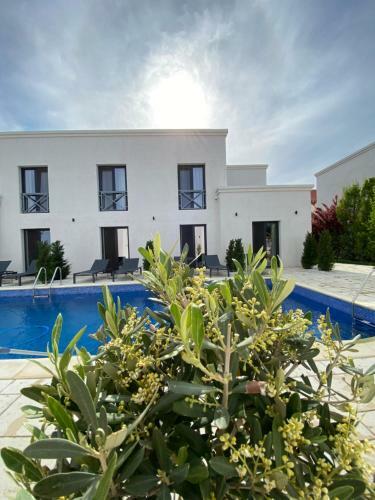 Hostal Ilios Vama Veche Adult Only