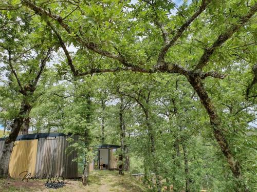 Lodge Ninho Da Av�
