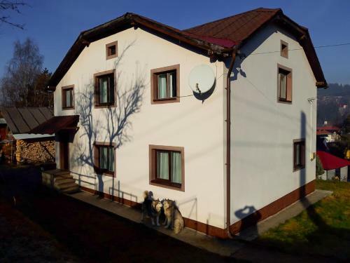 Hostal Apartamentul Ghioceilor