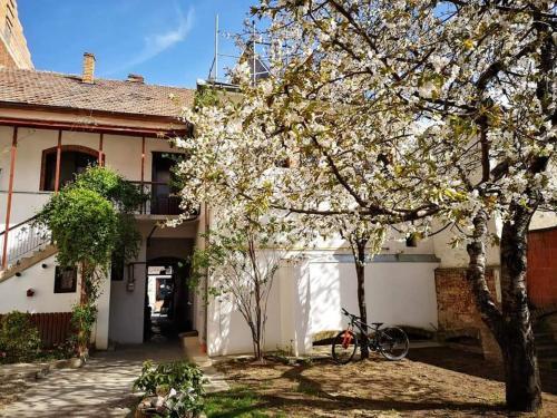 Apartamento Casa Miron 1