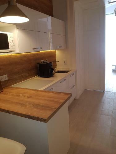 Deluxe Downtown Apartment Timisoara