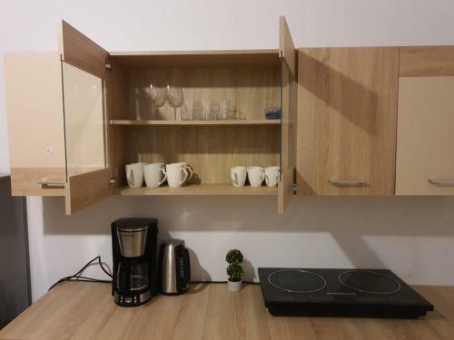 Apartament Enescu
