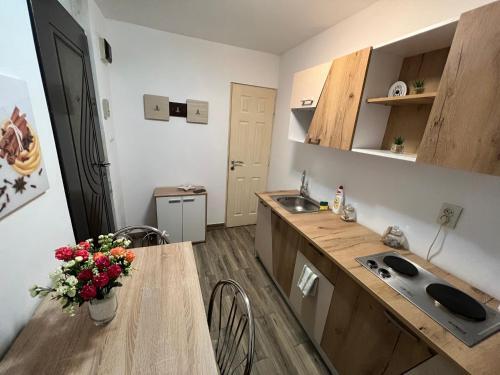Apartament Unirii