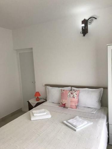 Hostal Pensiunea Scoika Steaguri Neptun