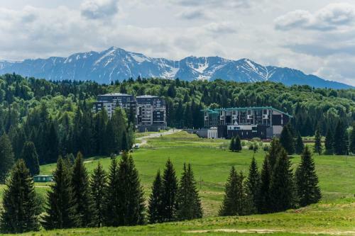 Timber View Apartment Silver Mountain Poiana Brasov