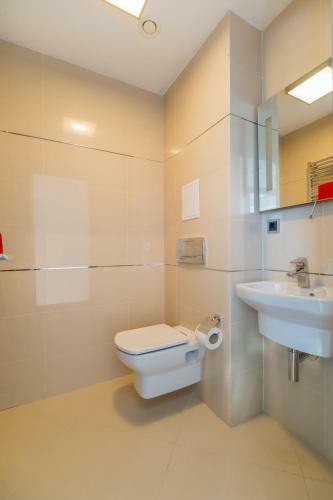 Timber View Apartment Silver Mountain Poiana Brasov