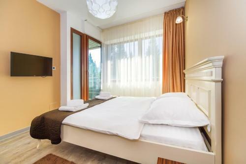 Sunny Apartment In Silver Mountain