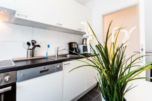 Cityfair Apartments K�ln