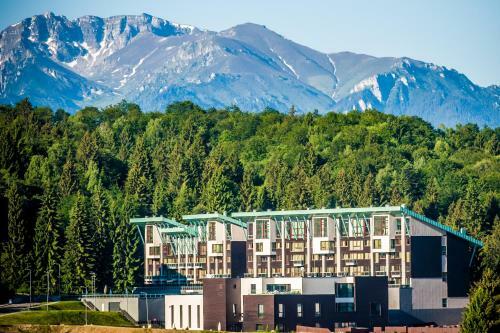 Ambient Apartment In Silver Montain - Poiana Brasov