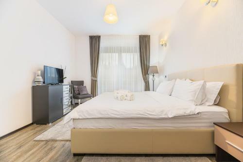 Ambient Apartment In Silver Montain - Poiana Brasov