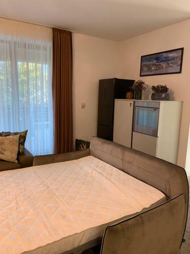 Edelweiss Apartments Silver Mountain