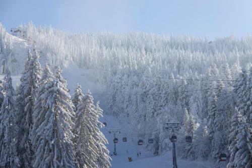 Apartamento Silver Mountain