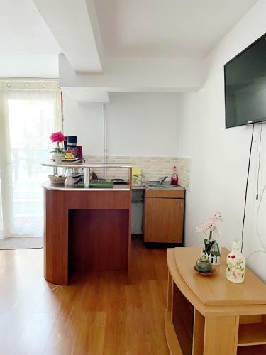 Apartament Roxana