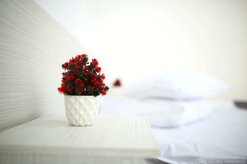 Hostal Casa Margo