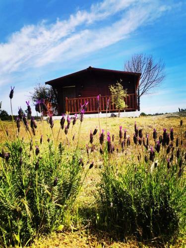 Vila Da Laje - Onde A Natureza O Envolve - Serra Da Estrela
