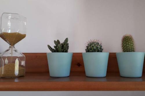Charming �bidos Townhouse