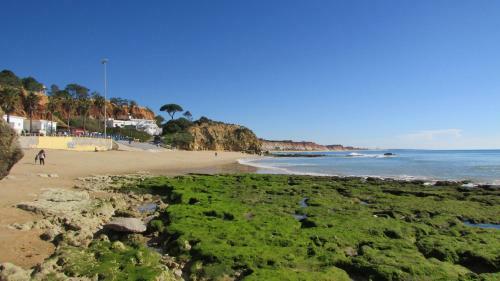 Apartamento T1 (2-4 Per.)com Piscina, Perto Da Praia