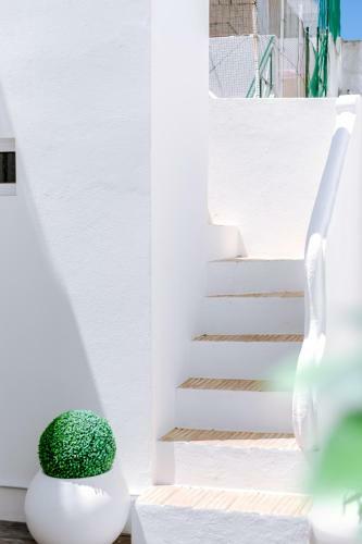 Terrasse Blanche