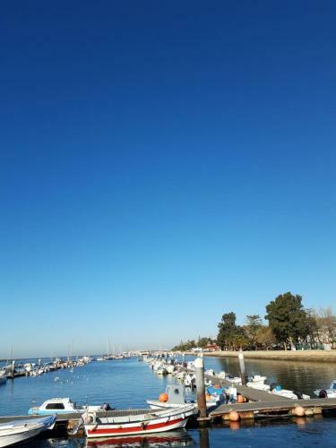 Apartamento A�oteia De Olh�o