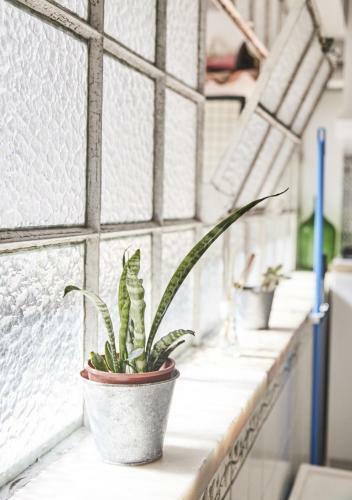 2 Bedroom Apartment House - Sol Do Murtal