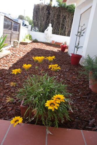 Bed & Breakfast Tipping Point North Beach Nazare