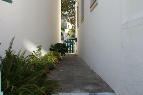 Apartamento The Green Gate Patio House