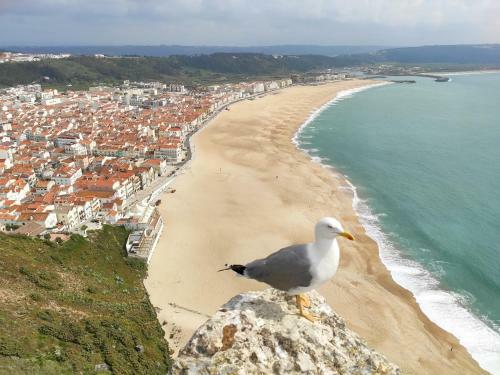 Casa S�o Gi�o - Especially For You !