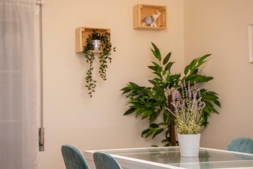 Apartamento Paz & Amor Flat Nazar� - Peace & Love