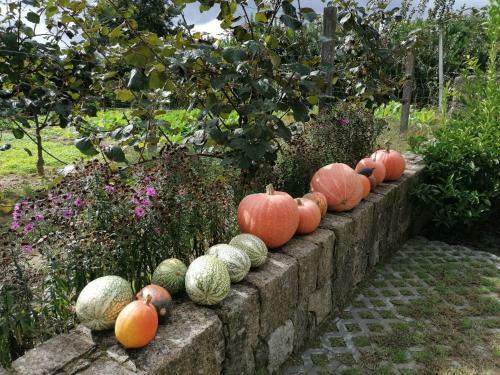 Villa Campo De Sobarbo - Guest House Rural