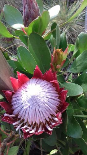 Villa Campo De Sobarbo - Guest House Rural