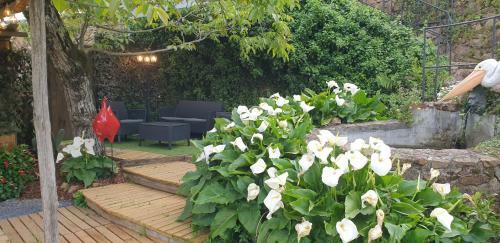 Hostal Casa Belavista Penela - Charming Guest House - Adults Only