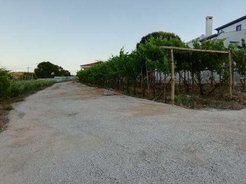 Agroturismo Casa Agr�cola Dos Av�s