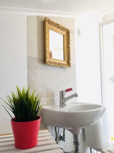 Apartamento Bigboss Sharko - 400m From The Beach