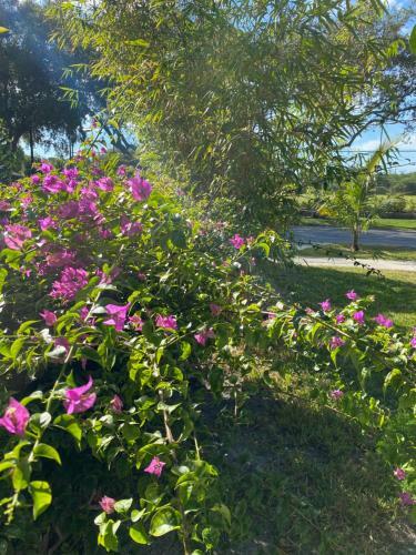 Your Beach Home In Sunny Delray, Near Atlantic Ave