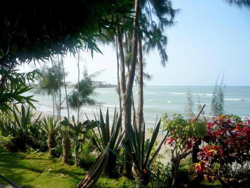 Bed & Breakfast Hoster�a Ecol�gica El Faro
