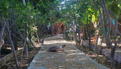 Bed & Breakfast Hoster�a Ecol�gica El Faro