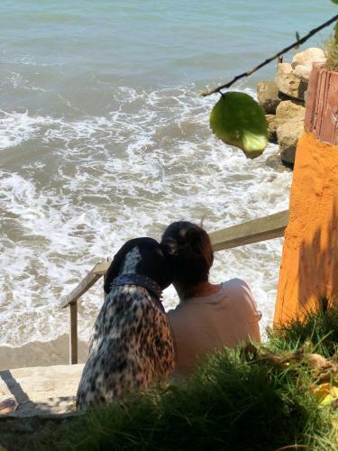 Bed & Breakfast Hoster�a Ecol�gica El Faro