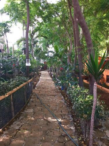 Bed & Breakfast Hoster�a Ecol�gica El Faro