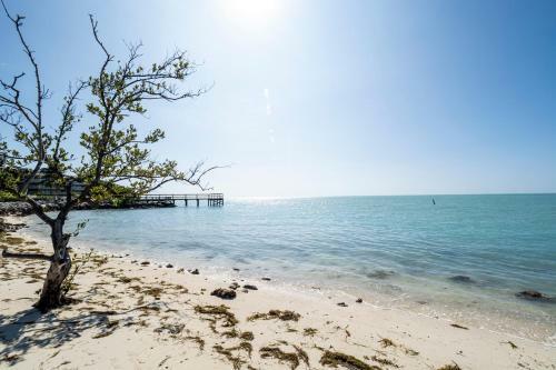 Newly Renovated 3br2ba Duplex With Private Dock