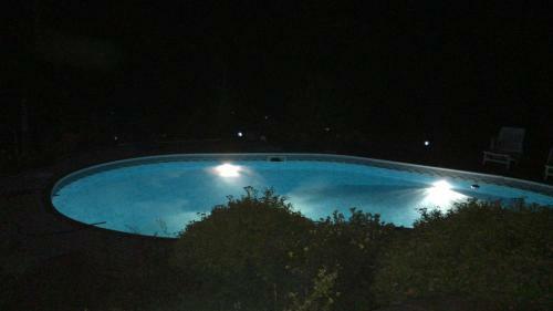 Apartamento Forest Paradise