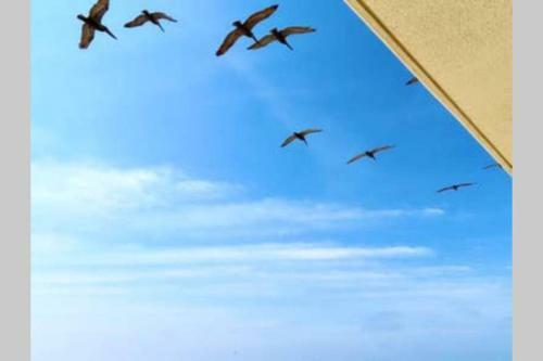 Apartamento Beach Front 18th Flr, Best Ocean View, New Upgrades