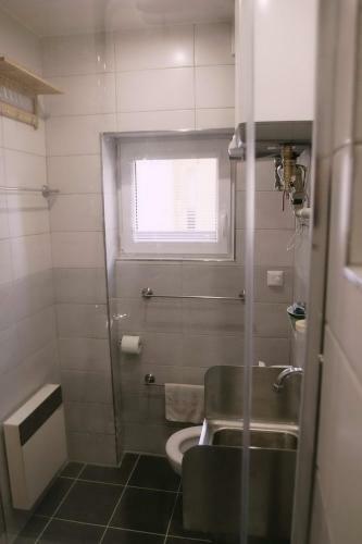 Apartamento Mal� �tuln� Studio S Koupelnou A Kuchy?kou