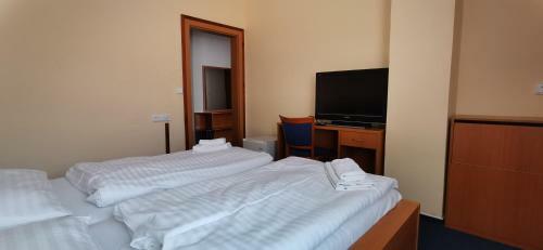 Hotel Svratka