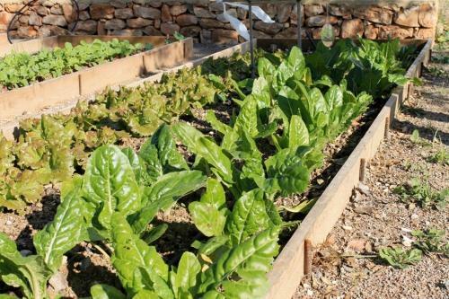 Apartamento Centro De Agroecologia Y Medio Ambiente De Murcia