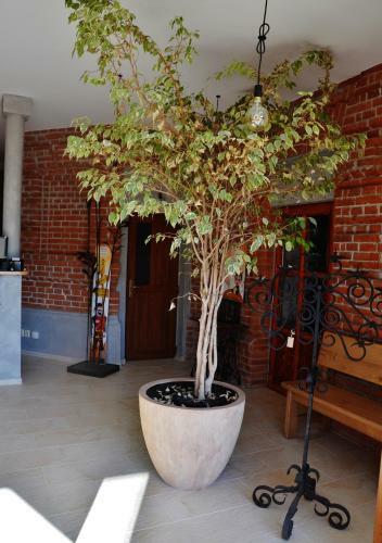 Hostal Penzion Bejby Turnov