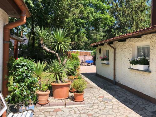 Apartamento Ferienhaus Eichwalde