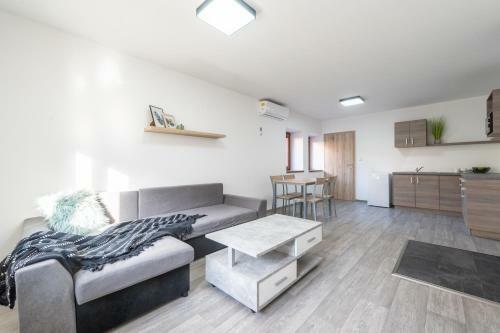 Pohoda Sala? U Velehradu-2 Apartmany